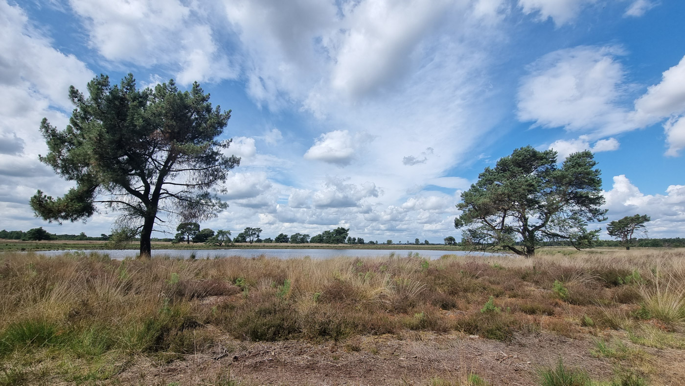 Strabrechtse Heide