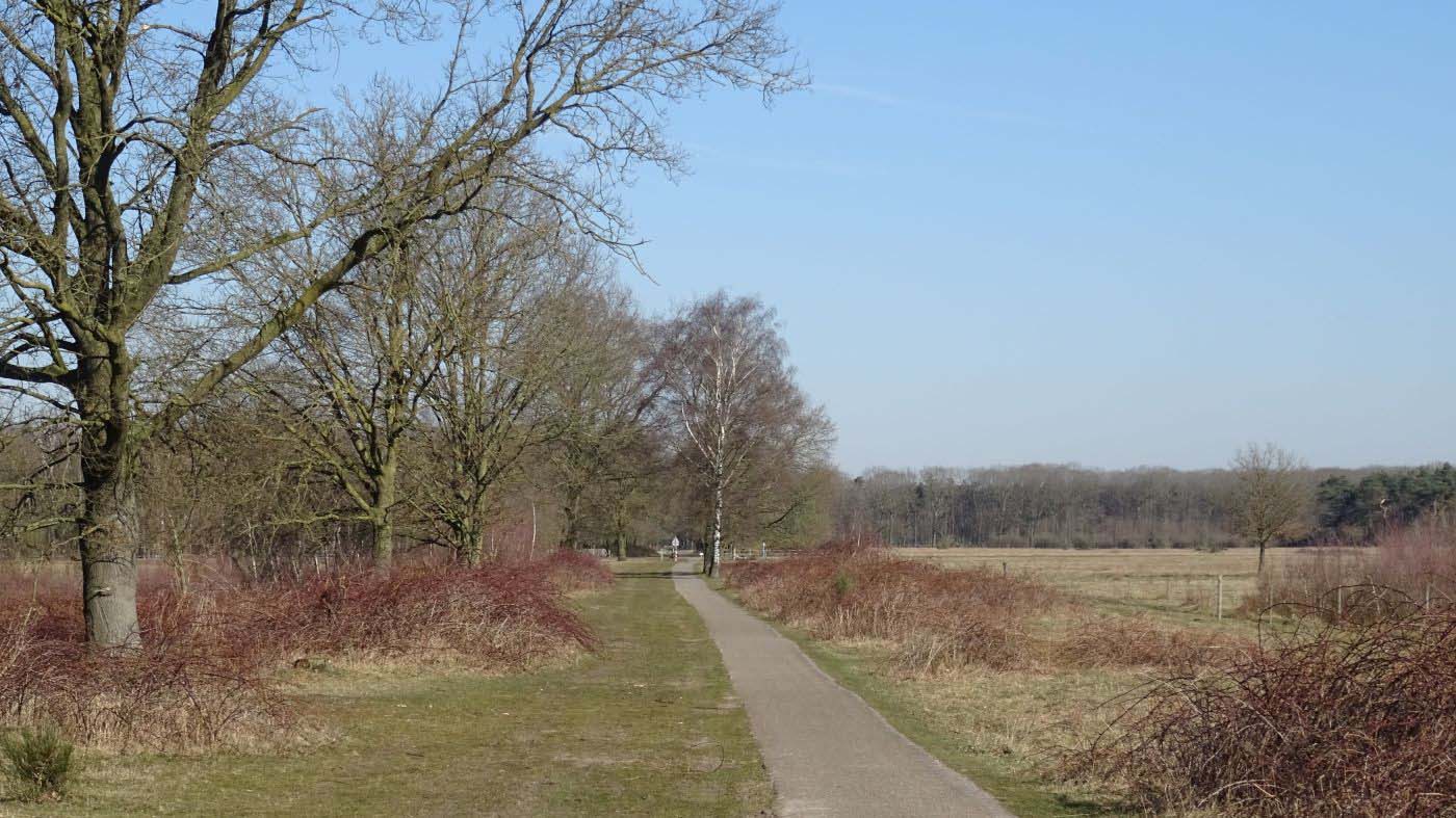 Maashorst Begrazingsgebied