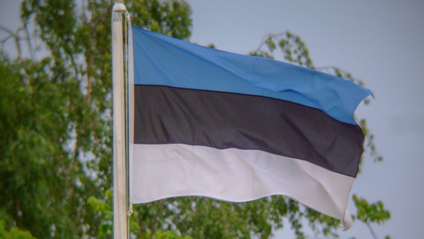 vlag Estland ©Peter van de Braak