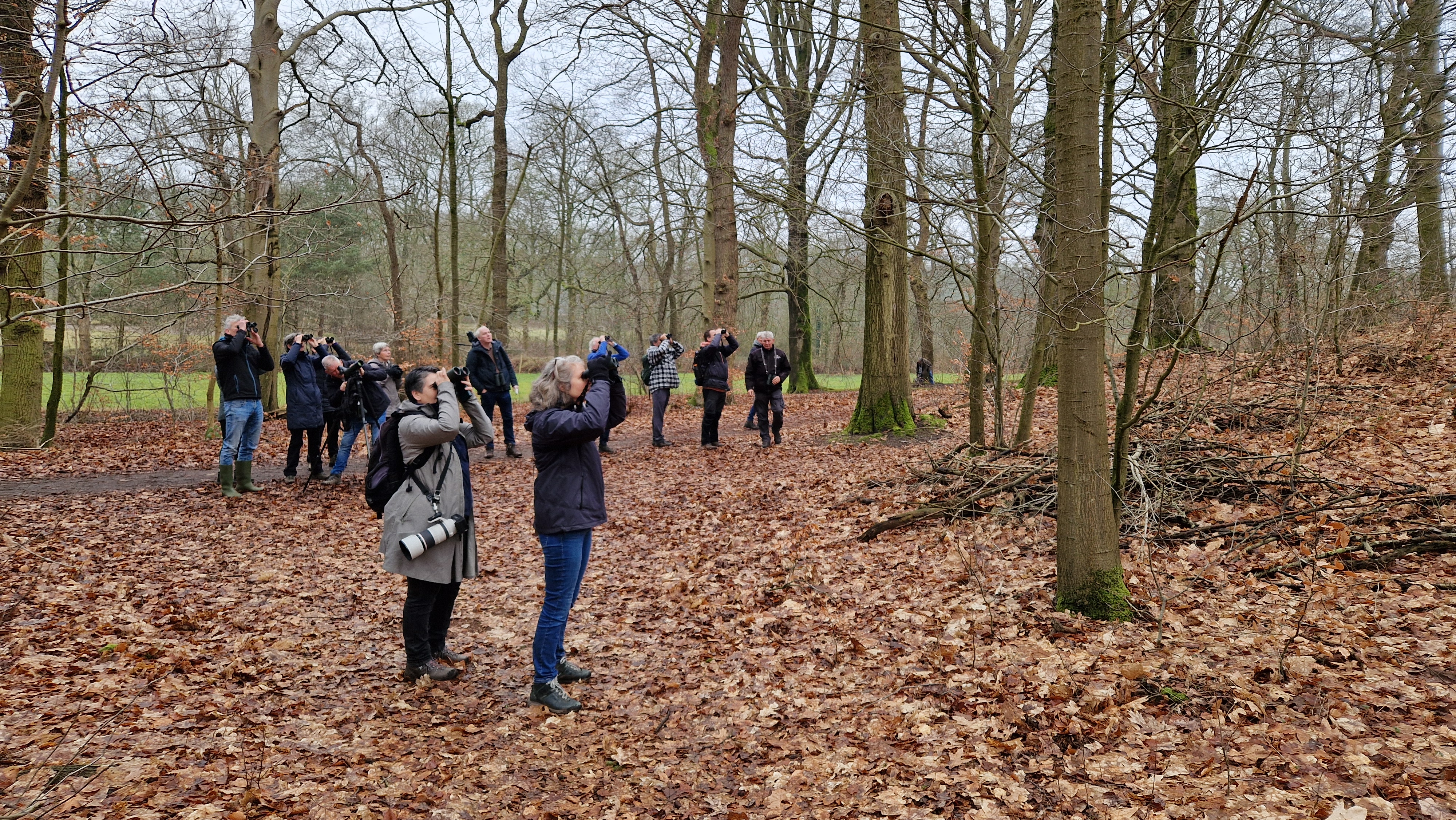 Dagexcursie Renkums Beekdal