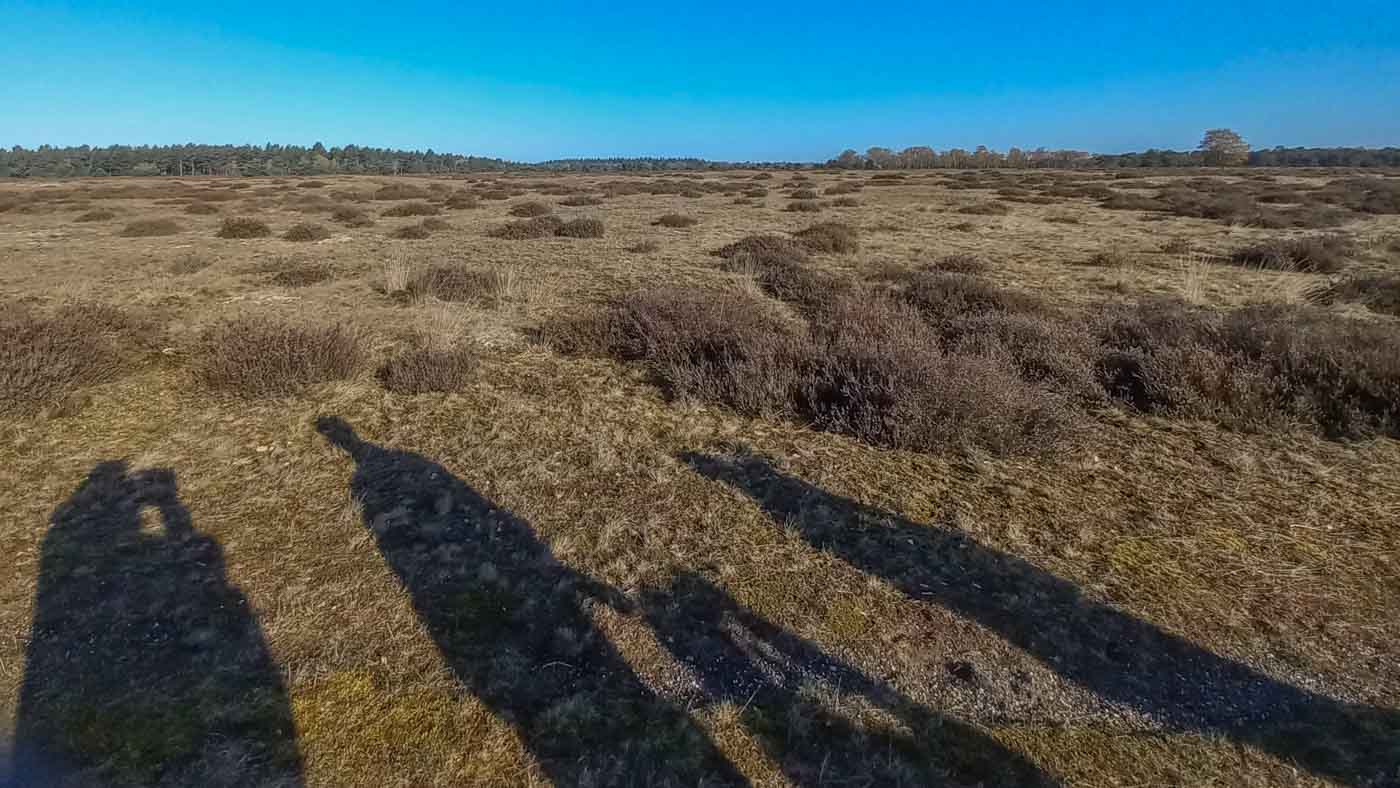Excursie Boswachterij St. Anthonis
