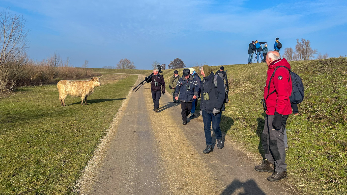 Dagexcursie Hoeksche Waard