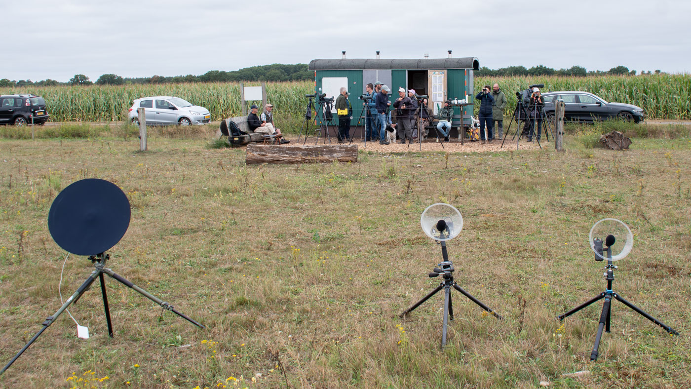 Drie parabolen met microfoon er in om geluiden op te nemen (foto Martien van Dooren). Drie parabolen met microfoon er in om geluiden op te nemen (foto Martien van Dooren).