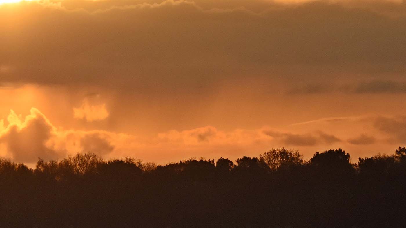 Gouden zonsopgang vanaf telpost ©Martien van Dooren