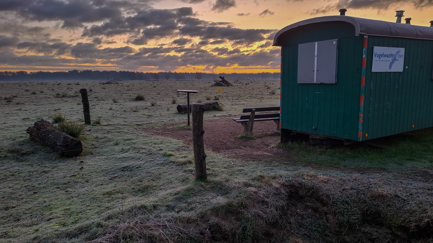 Week 19 telseizoen 2025